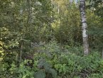 Участок под базу отдыха