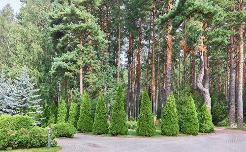 Загородное домовладение с баней