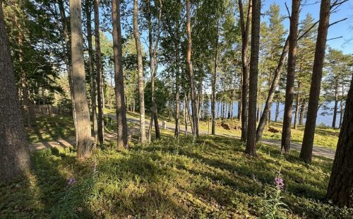 Участок в новом поселке