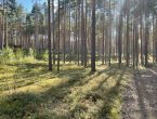 Участок в поселке бизнес-класса