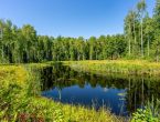 Участок со своим озером