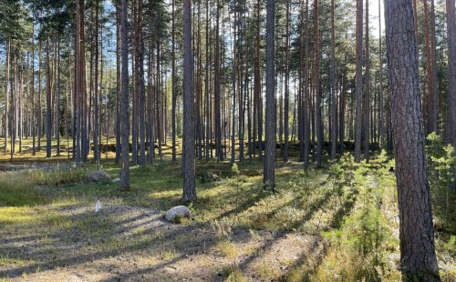 Участок ИЖС в поселке