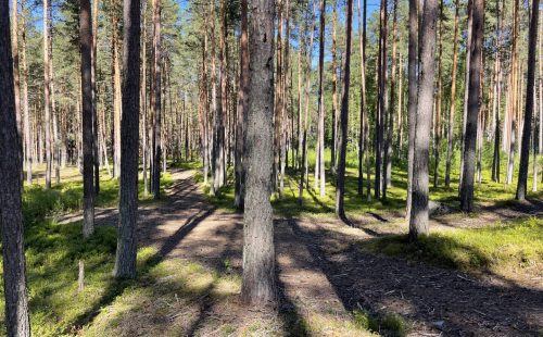 Участок в поселке бизнес-класса