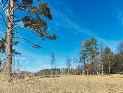 Участок ИЖС на 1-й линии озера