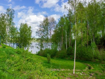 Участок 46 соток на 1 линии