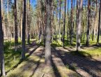 Участок в поселке бизнес-класса