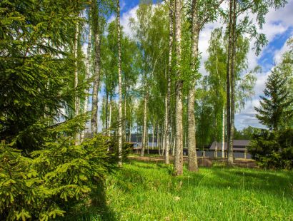 Участок 20 соток в поселке Сосны