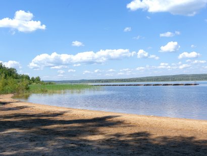 Участок у леса