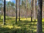 Участок в поселке бизнес-класса