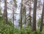 Участок у озера с постройкой