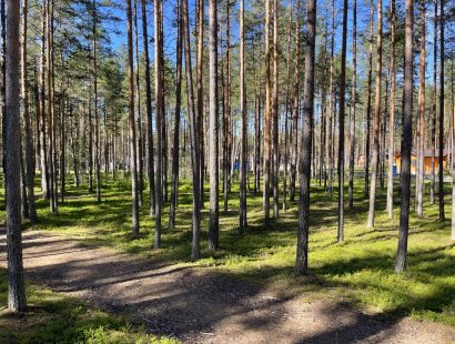 Участок ИЖС в поселке