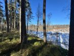 Участок в курортном районе