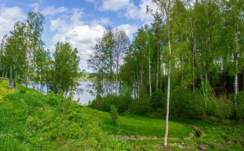 Участок 46 соток на 1 линии