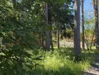 Участок в центре Комарово