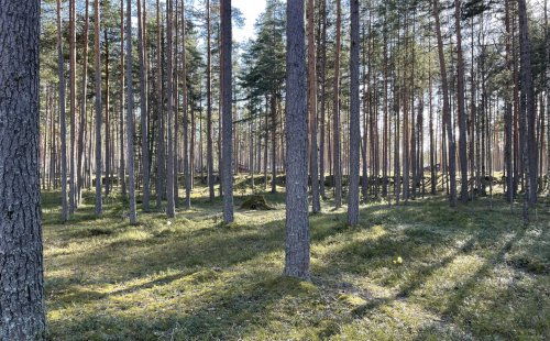 Участок в престижном поселке
