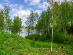 Участок 46 соток на 1 линии