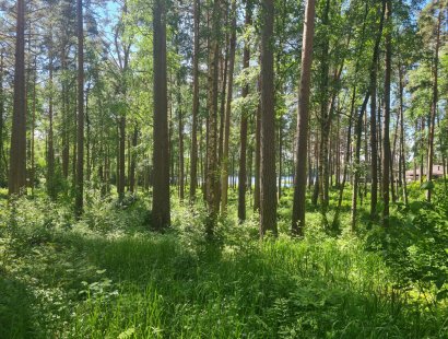 Участок в поселке у озера