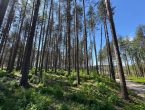 Лесной участок рядом с городом