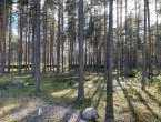 Участок ИЖС в поселке