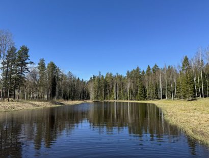 Участок на первой линии водоёма