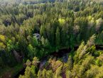 1,96 га на первой линии Сестры
