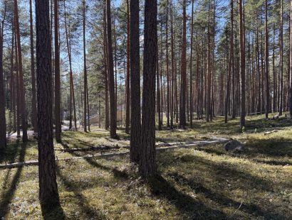 Участок в камерном поселке