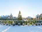 Участок в Ламбери без подряда