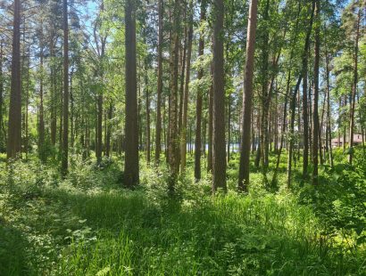 Участок в поселке у озера