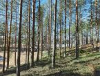 Участок 2,4 гектар на 1-ой линии