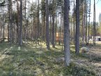 Участок в престижном поселке