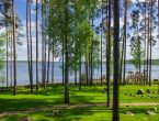 Участок 46 соток на 1 линии