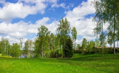Участок 46 соток на 1 линии