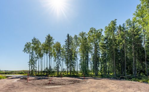 Участок в сосновом лесу