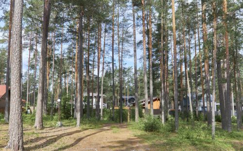 Участок у озера с постройкой