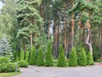 Загородное домовладение с баней