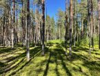 Участок в поселке бизнес-класса