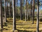 Участок ИЖС в поселке