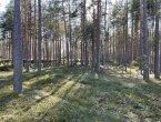 Участок в престижном поселке