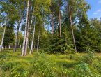 Участок в курортном районе