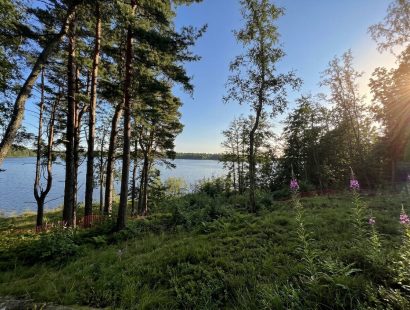 Видовой участок