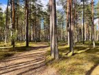 Участок в престижном поселке