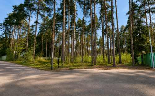 Участок в Курортном районе