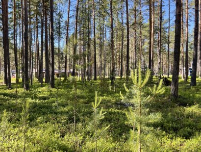 Участок в престижном поселке