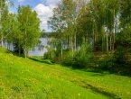 Участок 46 соток на 1 линии