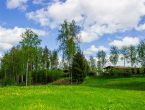 Участок 46 соток на 1 линии
