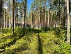 Участок в поселке бизнес-класса