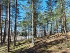 Участок 2,4 гектар на 1-ой линии
