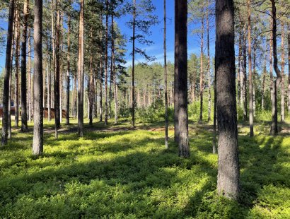 Участок в престижном поселке