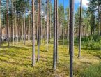 Участок в поселке бизнес-класса