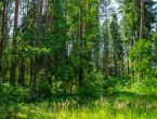 Участок в закрытом поселке